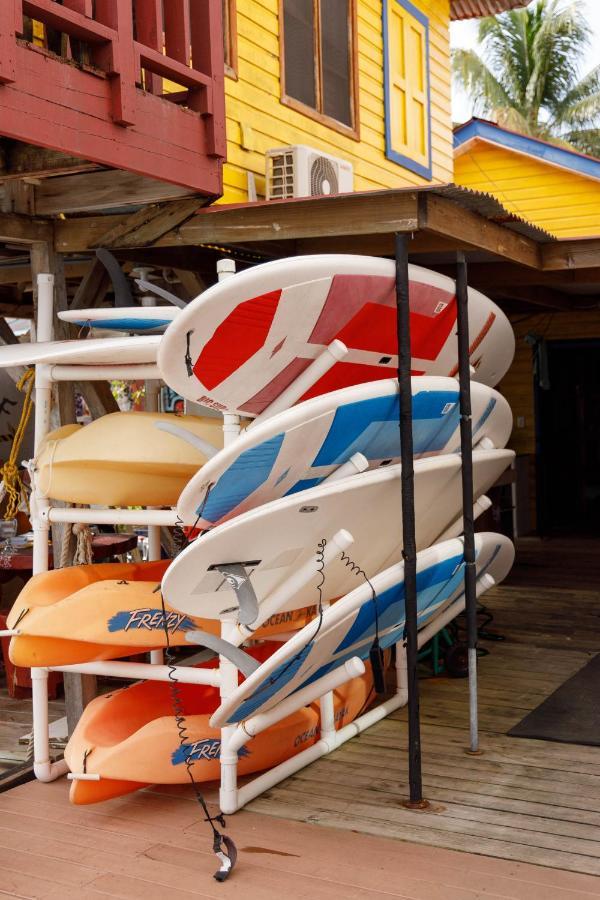 Divers Paradise Boutique Hotel ボカス・タウン エクステリア 写真