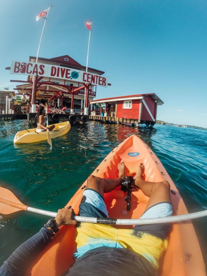 Divers Paradise Boutique Hotel ボカス・タウン エクステリア 写真